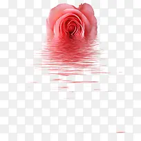 手绘水纹玫瑰花朵