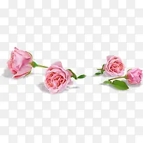 粉色玫瑰婚庆布置