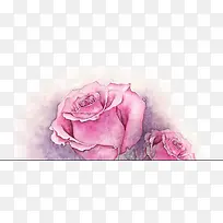 彩绘粉色玫瑰图片