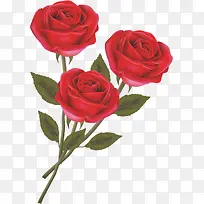 手绘红色玫瑰花朵