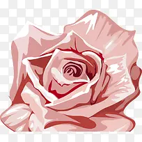 粉色艺术分层玫瑰