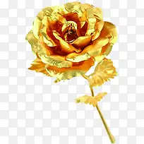 金箔玫瑰花朵礼物