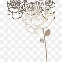 花卉
