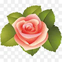 粉色卡通温馨春天花朵玫瑰
