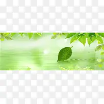 护肤绿色水纹水珠背景banner