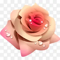 米色手绘水珠玫瑰七夕情人节