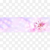 花朵紫色虚化水珠背景banner