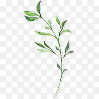 插画夏日创意绿色植物树叶
