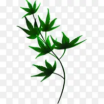 植物绿色海报树叶