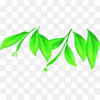 卡通植物绿色树叶效果
