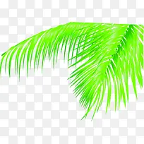 创意合成手绘绿色的棕榈树叶