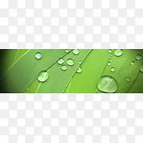 水珠唯美设计banner背景