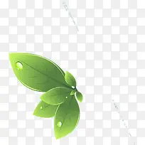 卡通植物绿色夏日树叶