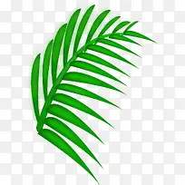 绿色手绘植物树叶特效