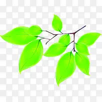创意合成手绘绿色的植物树叶