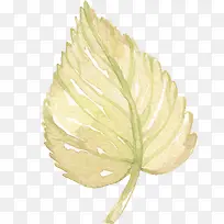 绿色手绘叶子