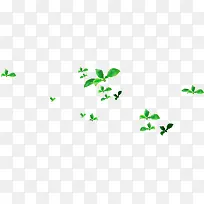 绿色春天踏青节日树叶