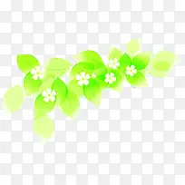 绿色梦幻花朵树叶