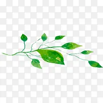 绿色夏日海报植物树叶