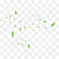 树叶漂浮