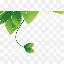 绿色立体设计树叶
