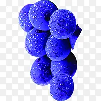 高清蓝色带水滴蓝莓水果