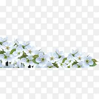 白色小花海报装饰