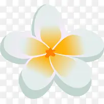 黄色花蕊可爱白色小花