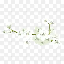纯洁白色小花
