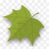 掌叶Green-spring-icons