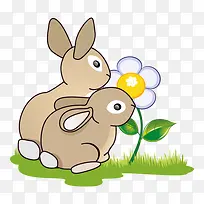 卡通兔子和白色小花