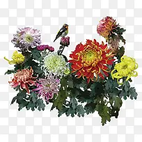 漂浮花瓣气泡简洁大方树叶树丛