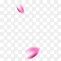 红色花瓣两朵花瓣
