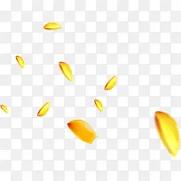 黄色金色漂浮花瓣