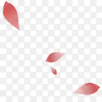 花朵红色花瓣叶子