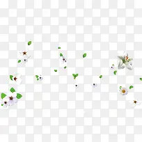 花瓣