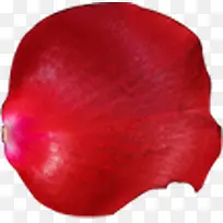 大红色花瓣元素