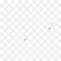 花瓣粉红花瓣不规则漂浮