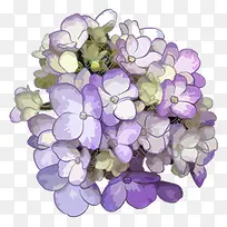 手绘紫色水彩花朵