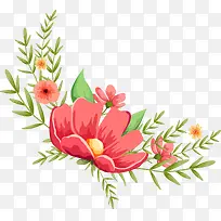 橘色的花