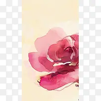 水彩手绘粉色花朵插画