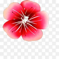 红色水彩手绘花朵设计