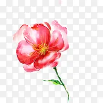 创意手绘水彩红色的花朵植物