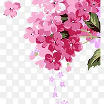 粉色水彩手绘花朵
