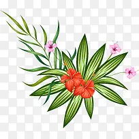 盛开的花