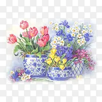 手绘水彩花朵花盆