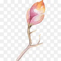 粉色兰花