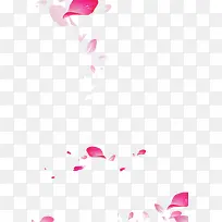 散落花瓣素材
