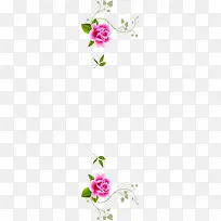 立绘彩绘高清月季花高清合成