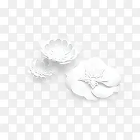 白色花瓣png素材